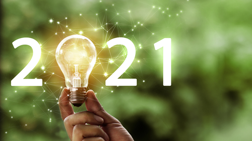 hand holding a light bulb. around the lightbulb is the year 2021.