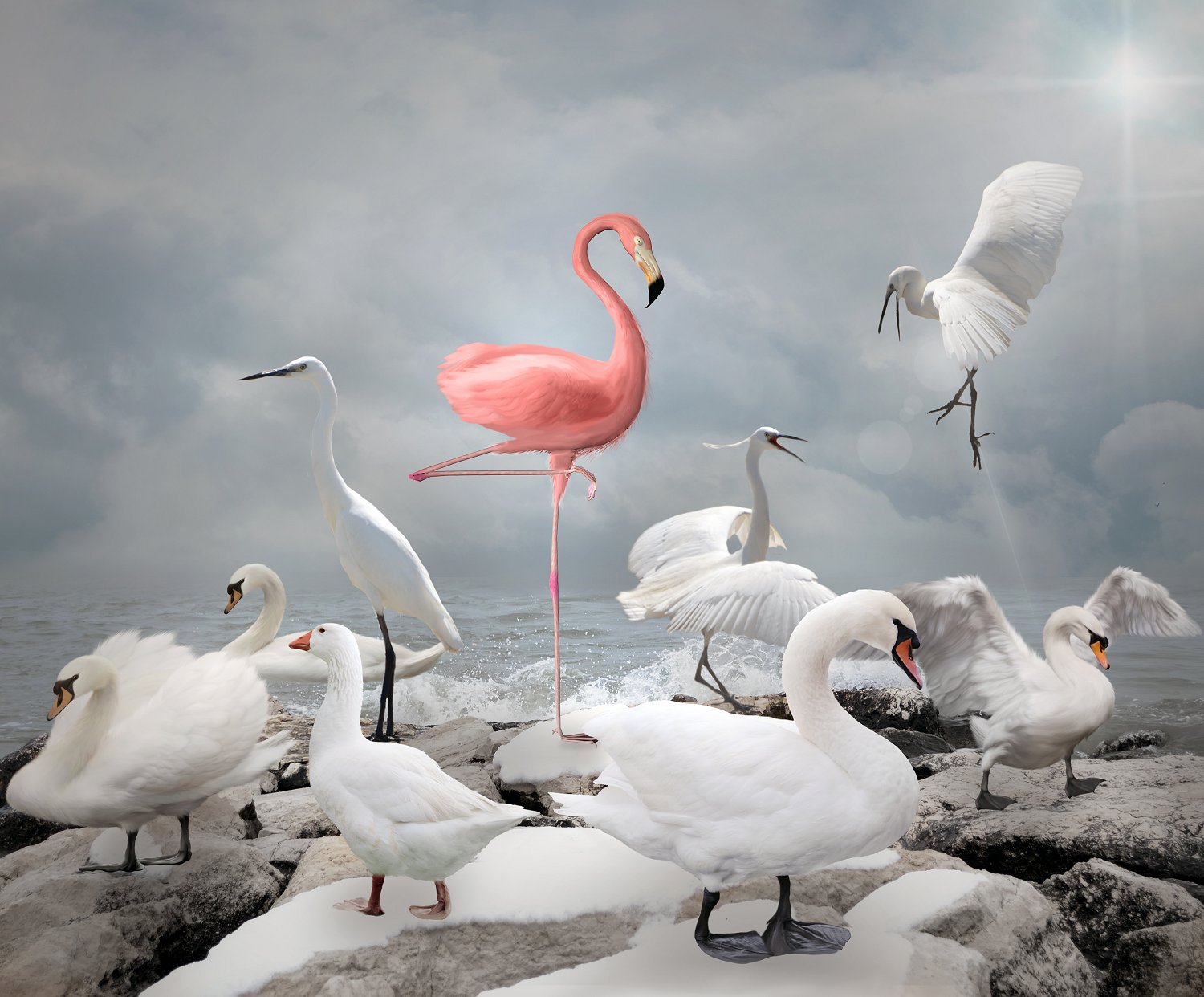 Picture of a pink flamingo.